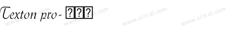 Texton pro字体转换